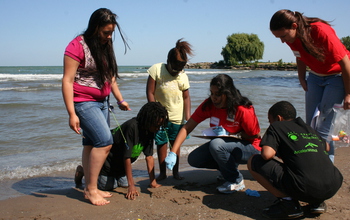 children on the beach